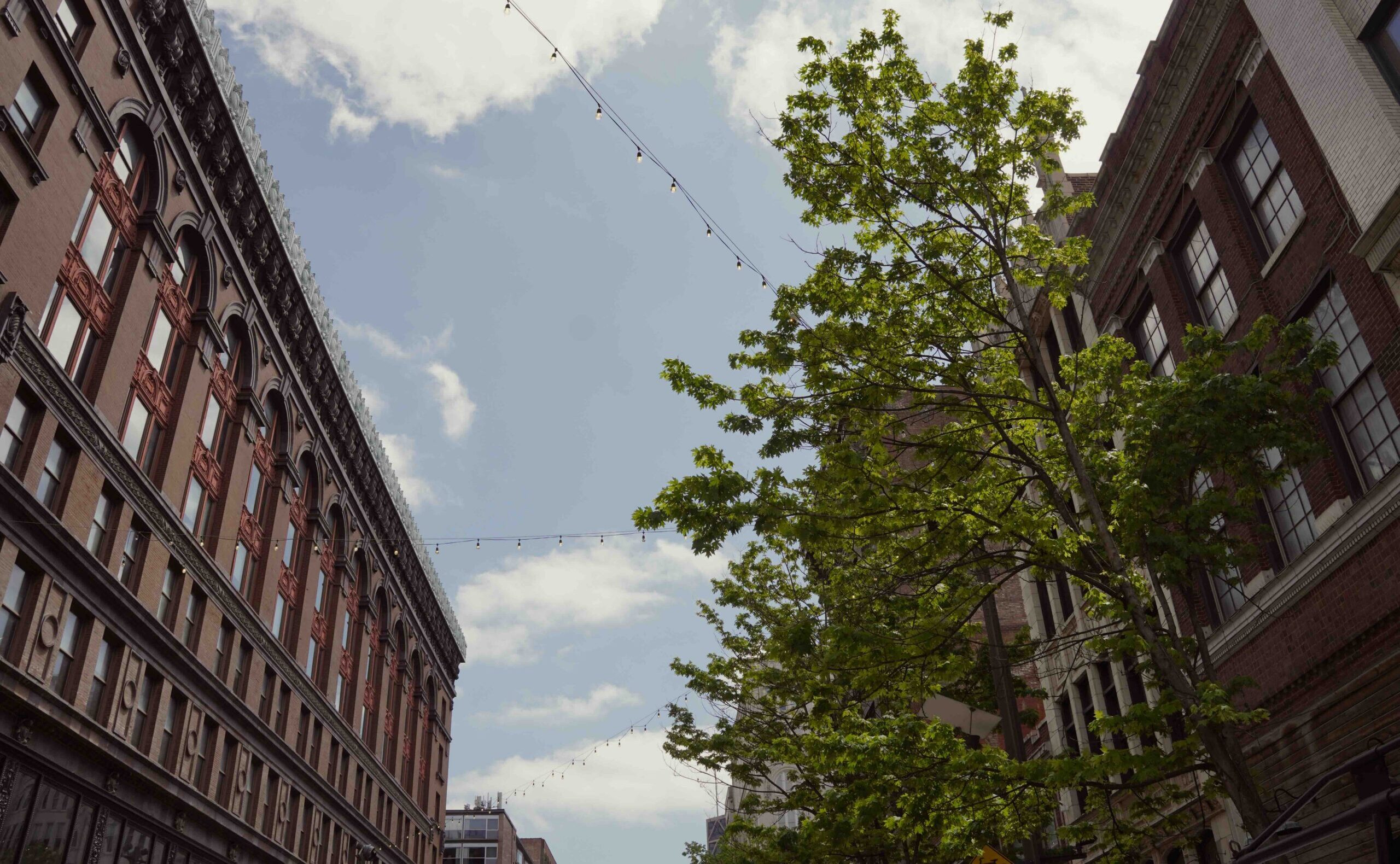 The tops of buildings on Washington Avenue downtown. There is a string of lights running through the buildings, a tree, and large clouds overhead. The buildings are red brick with many windows.